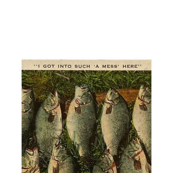 Vintage 1932 Lithograph Ephemera Postcard Humor Mess Of Fish Near Minocqua, WISC - Picture 3 of 9